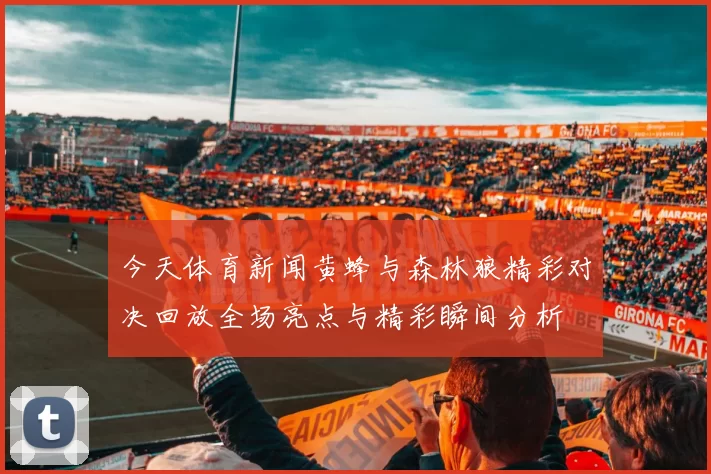 今天体育新闻黄蜂与森林狼精彩对决回放全场亮点与精彩瞬间分析